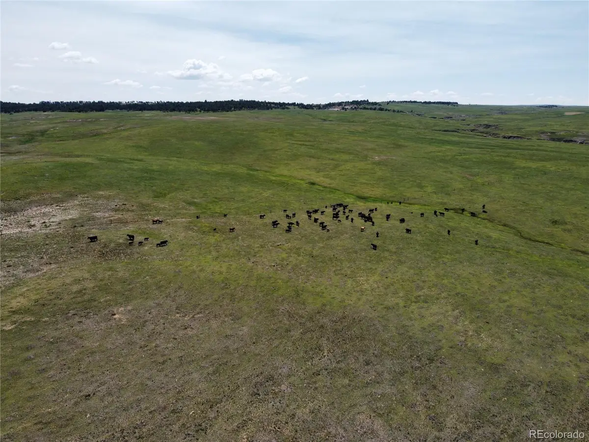 Lot 8 County Road 77, Calhan, CO 80808 - #1