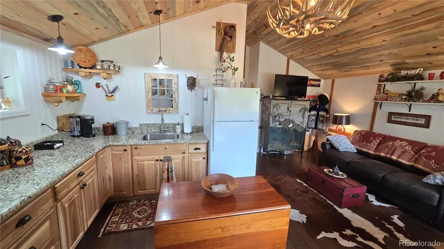 259 S Vermillion Road, Lake George, CO 80827 - Image #3