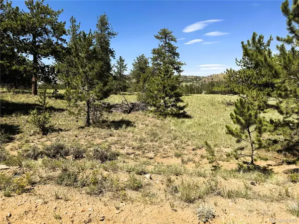127 Boulder Road, Hartsel, CO 80449