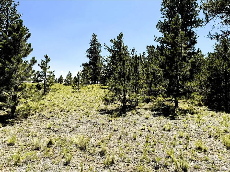 127 Boulder Road, Hartsel, CO 80449 - #2