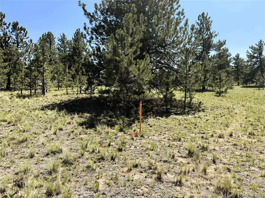 127 Boulder Road, Hartsel, CO 80449 - #3