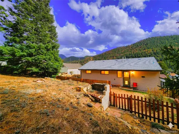 310 Virginia Street, Idaho Springs, CO 80452