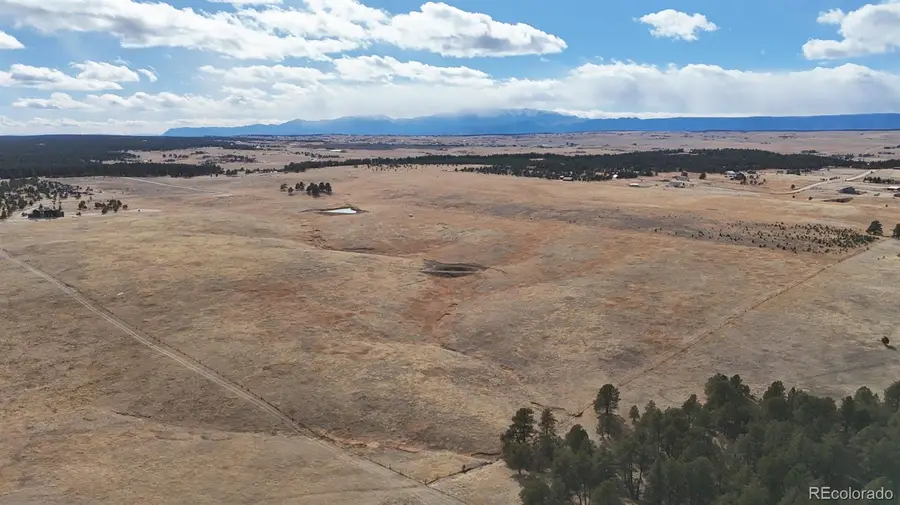 19415 Fransioli View, Colorado Springs, CO 80908 - #3