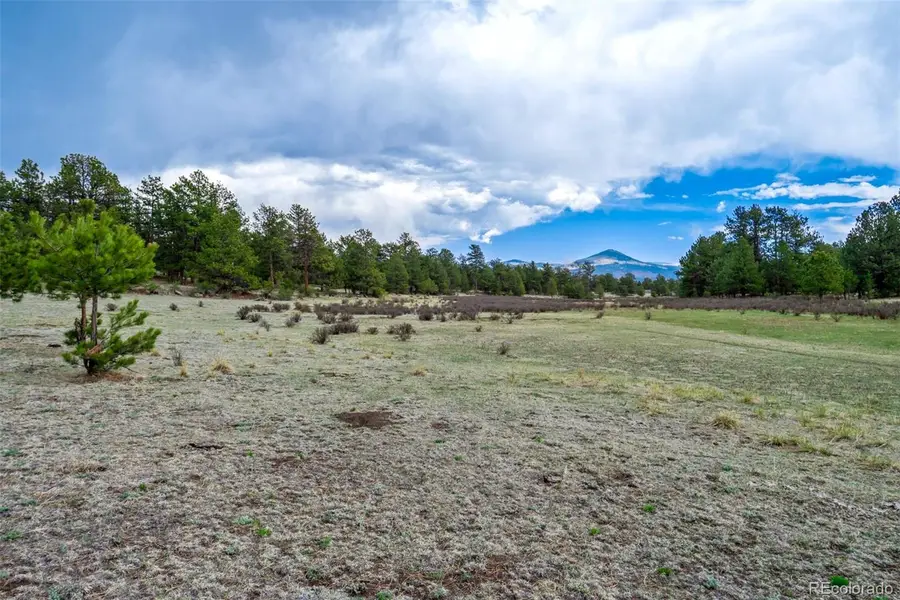 Tract 103 Doe Valley Road, Guffey, CO 80820 - #3