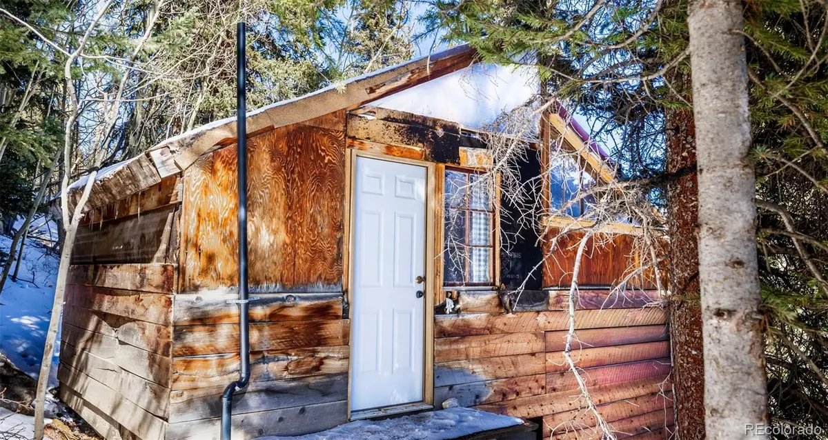 944 Roberts Road, Alma, CO 80420 - #1