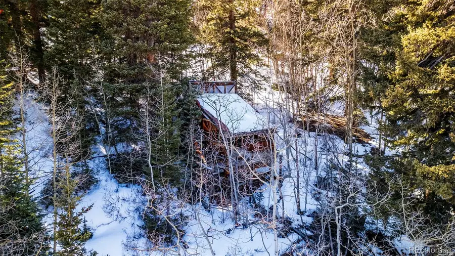 944 Roberts Road, Alma, CO 80420 - #2