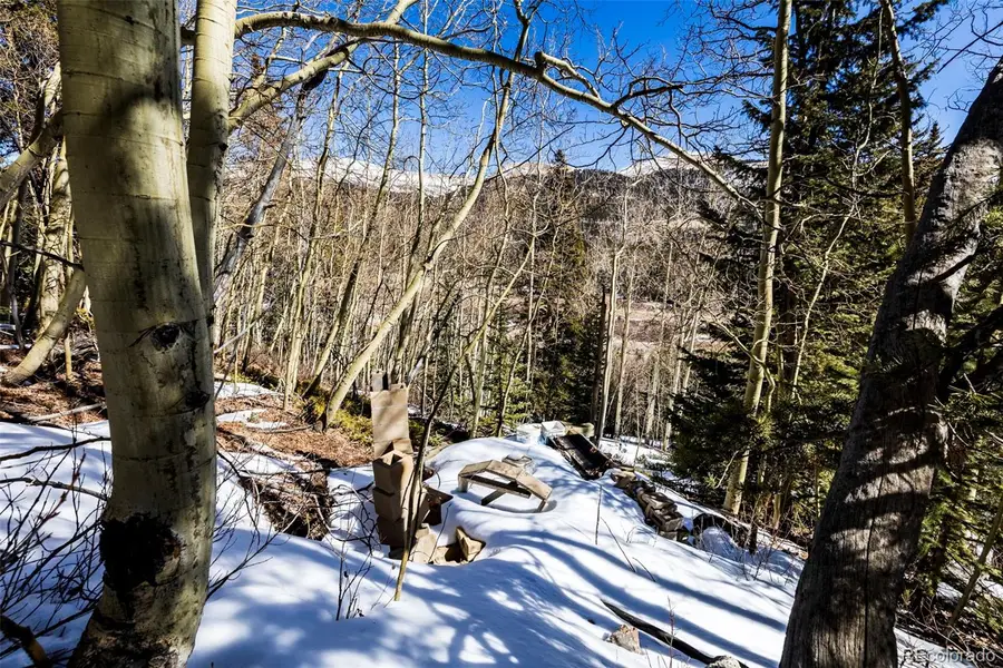 944 Roberts Road, Alma, CO 80420 - #3