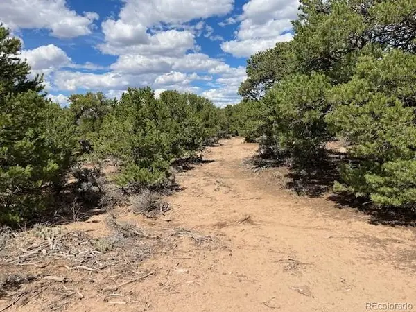 Lot 8 Coyote Court, San Luis, CO 81152
