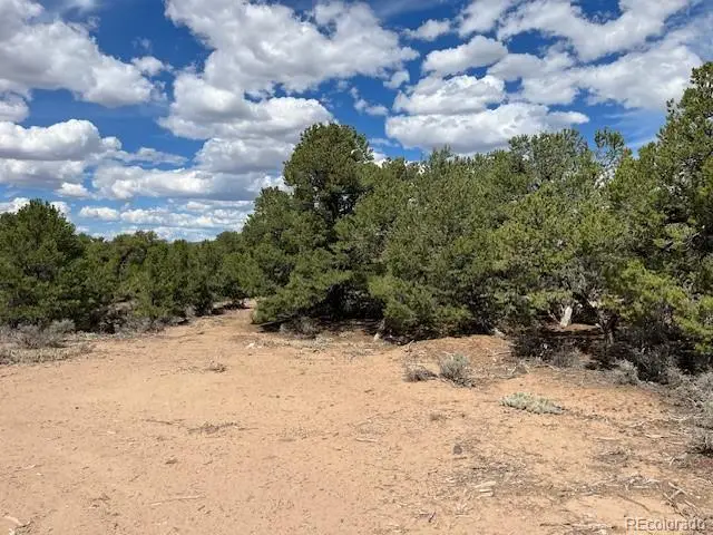 Lot 8 Coyote Court, San Luis, CO 81152 - #2