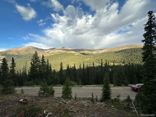513 Carroll Lane, Breckenridge, CO 80424
