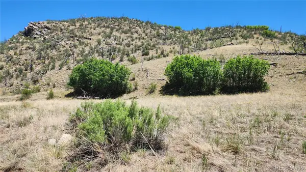 TBD L 35th Trail, Cotopaxi, CO 81223