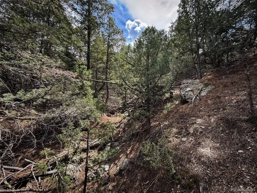 401 Lake Of The Falls Parkway, Mosca, CO 81146 - #2