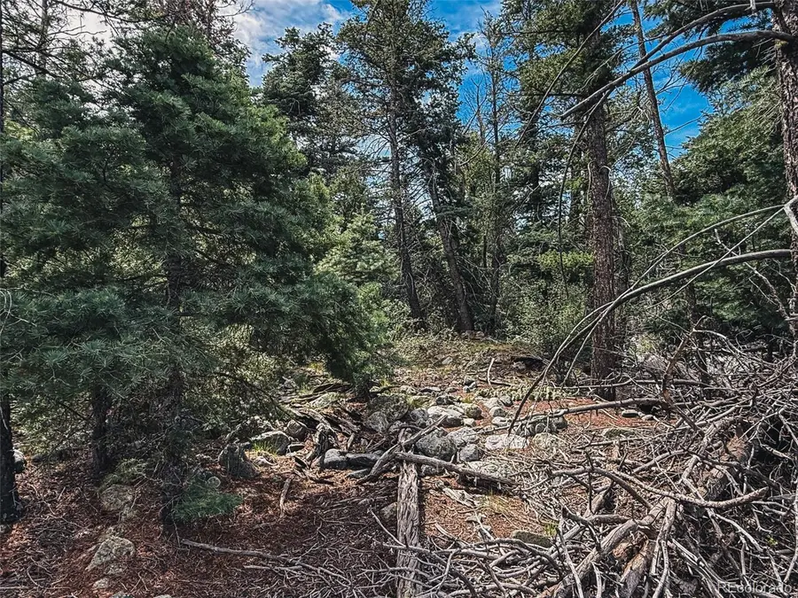 401 Lake Of The Falls Parkway, Mosca, CO 81146 - #3