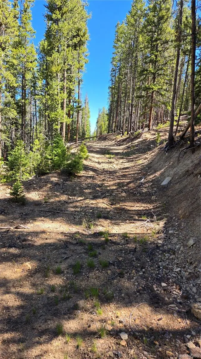 000 Summit Gulch Road, Breckenridge, CO 80424 - #3