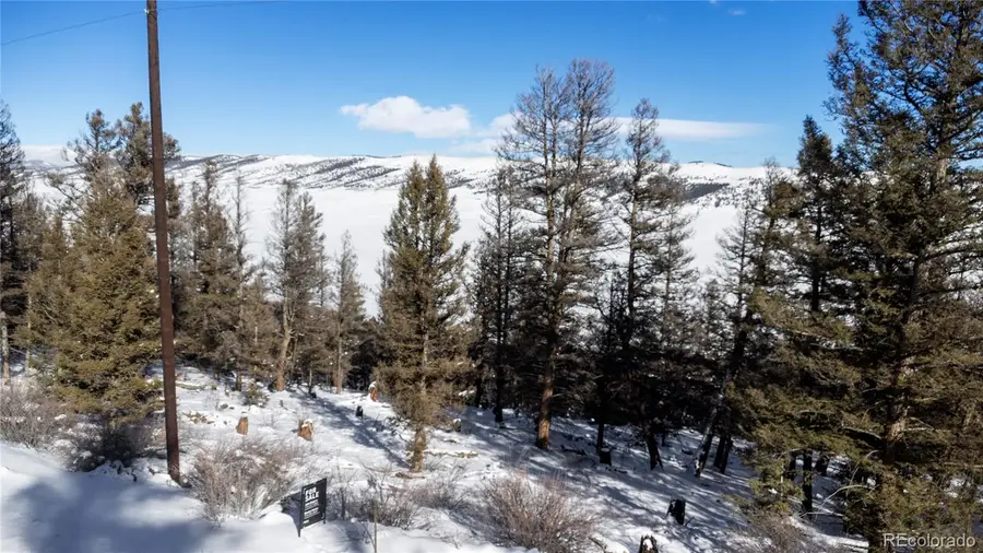 1348 Middle Fork Vista, Fairplay, CO 80440 - Image #2