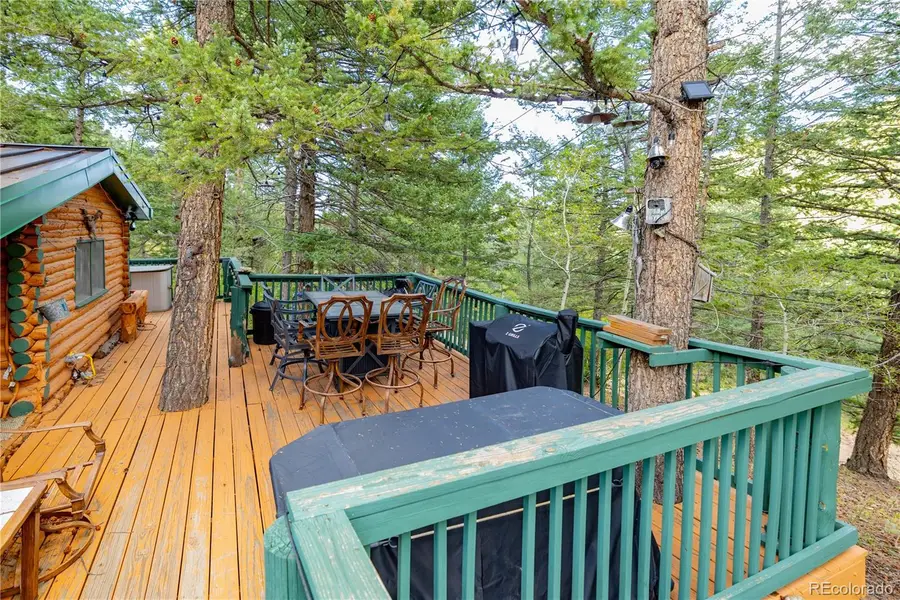 10637 Twin Spruce Road, Golden, CO 80403 - #3