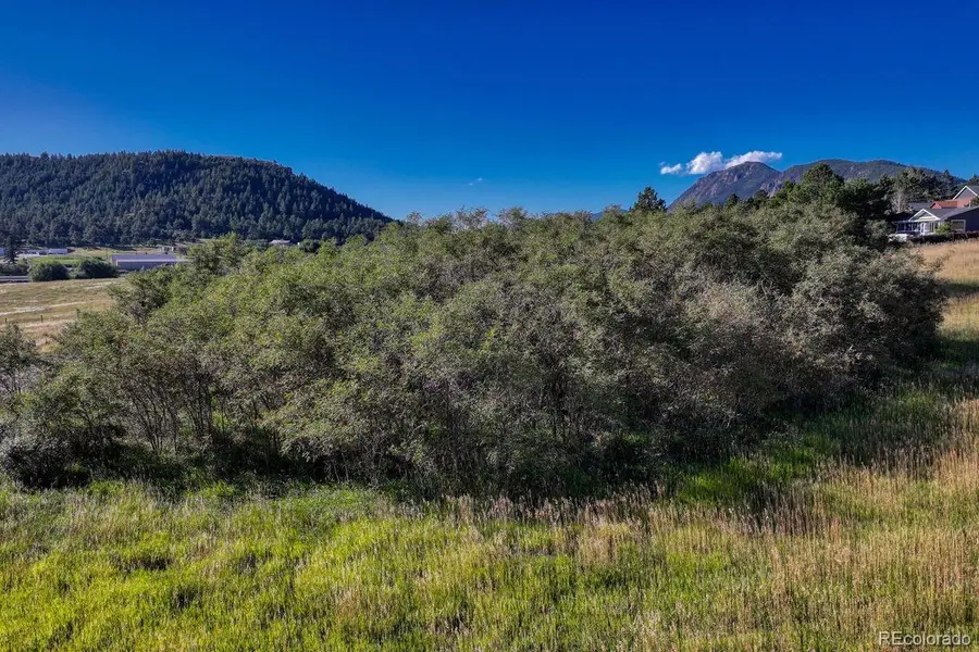 15989 S Perry Park Road, Larkspur, CO 80118 - Image #3