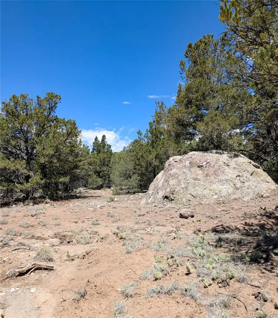 1704 Willow Creek Way, Crestone, CO 81131 - #3