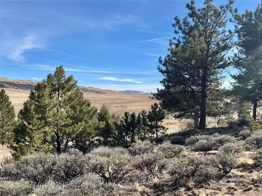 25 Redhill Court, Fairplay, CO 80440 - #2