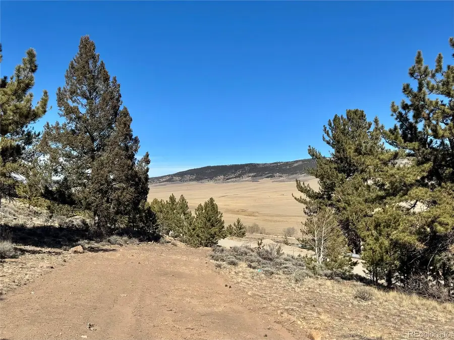 25 Redhill Court, Fairplay, CO 80440 - #3