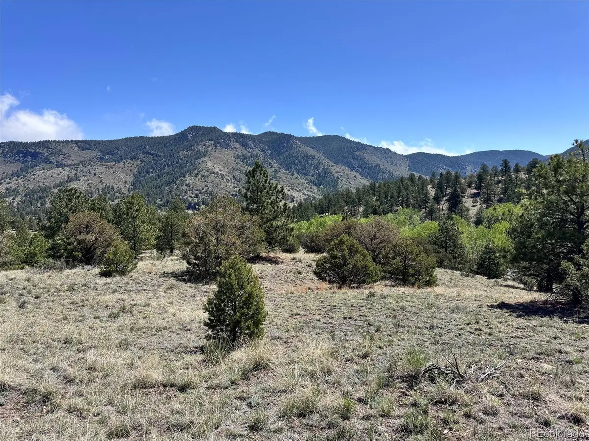Dilley Road, Westcliffe, CO 81252 - #1
