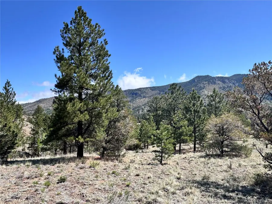 Dilley Road, Westcliffe, CO 81252 - #2