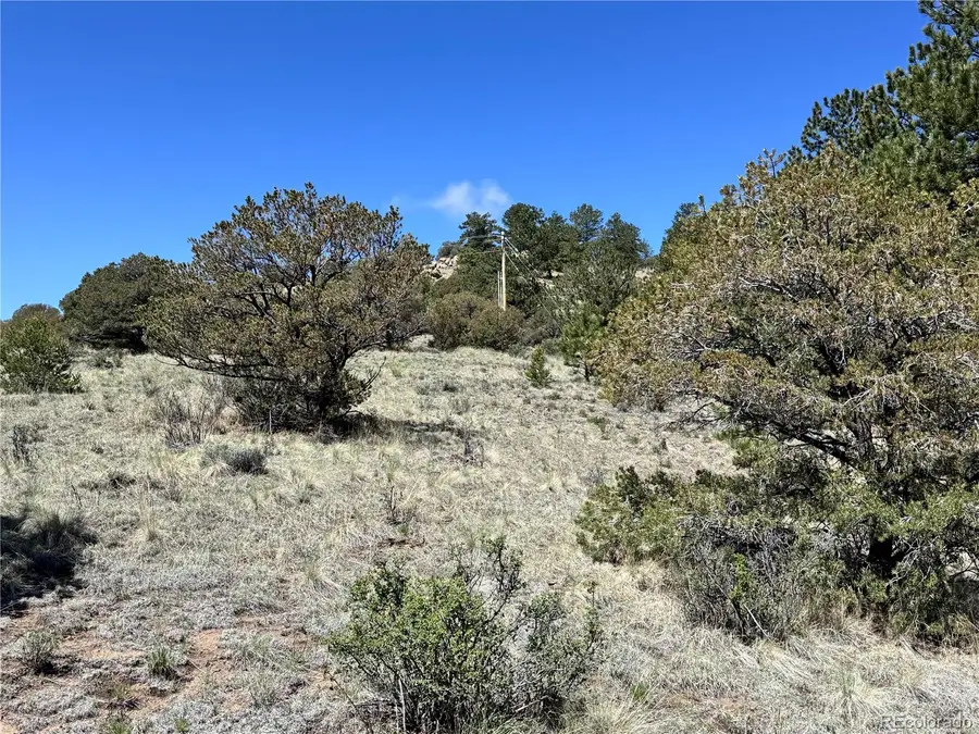 Dilley Road, Westcliffe, CO 81252 - #3