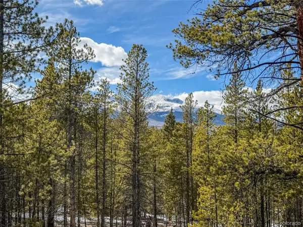 483 Mt Massive Road, Twin Lakes, CO 81251