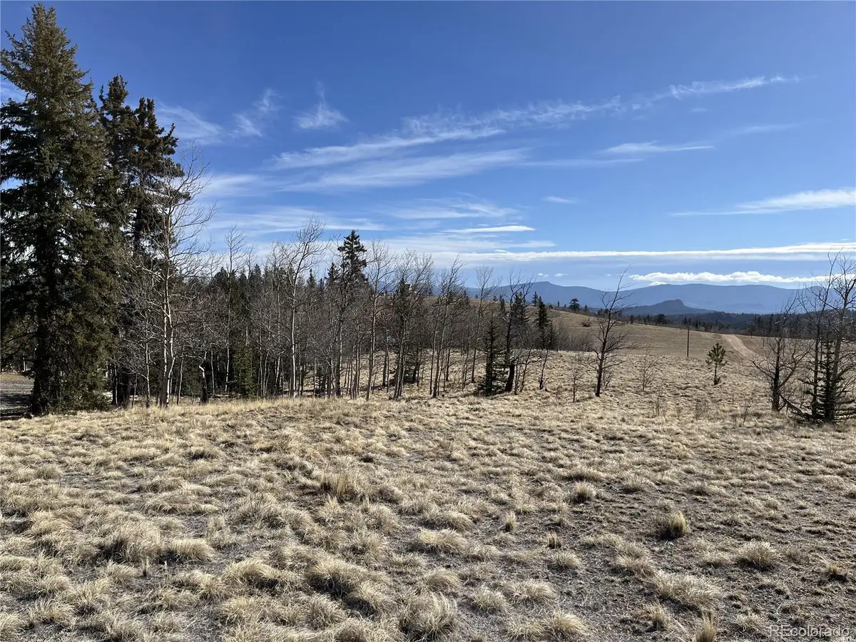 325 Shoshone Drive, Como, CO 80456 - #1