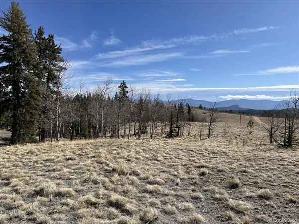 325 Shoshone Drive, Como, CO 80456