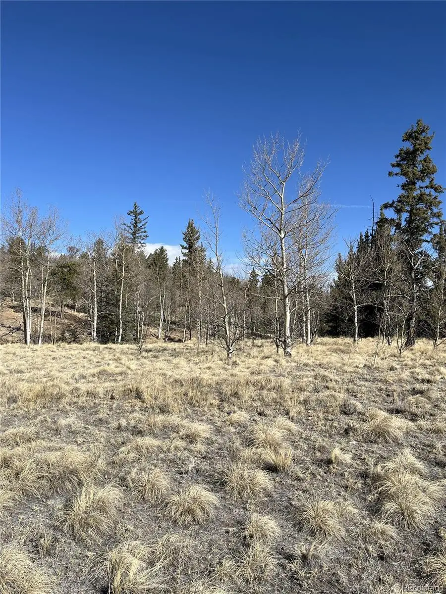 325 Shoshone Drive, Como, CO 80456 - #2