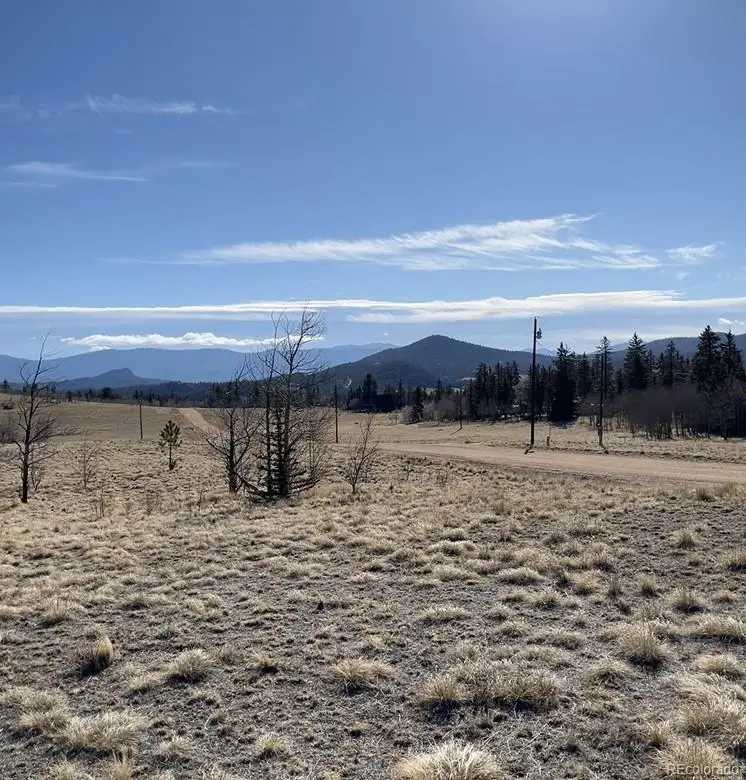 325 Shoshone Drive, Como, CO 80456 - #3