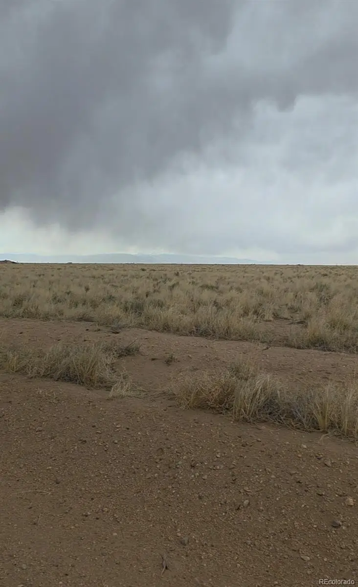 Lot 1 Brown Rd., Blanca, CO 81123 - #2
