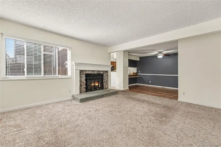 11819 Grant Street, Northglenn, CO 80233 - #2