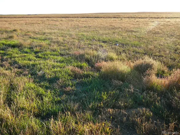 TBD Hwy 52, Wiggins, CO 80654