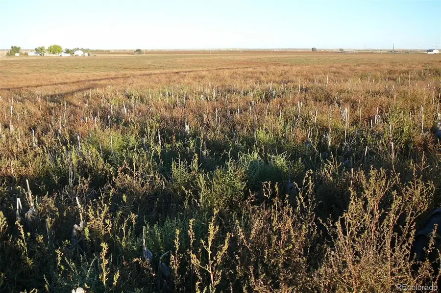 TBD Hwy 52, Wiggins, CO 80654 - #2