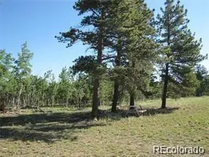 257 Bolster Drive, Hartsel, CO 80449 - #1