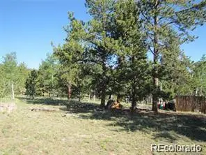 257 Bolster Drive, Hartsel, CO 80449 - #3