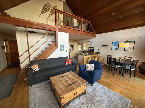 204 Ski Doo Road, Fairplay, CO 80440