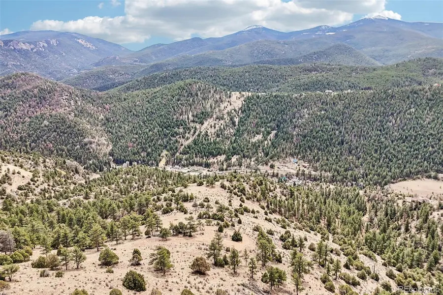 257 Wildlife Trail, Idaho Springs, CO 80453 - #3