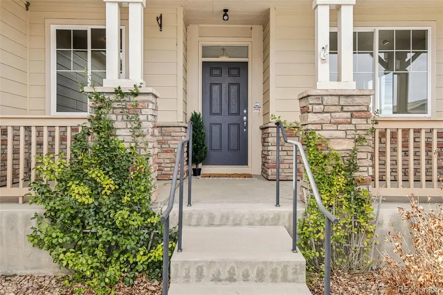 3878 Desert Ridge Circle, Castle Rock, CO 80108 - #2