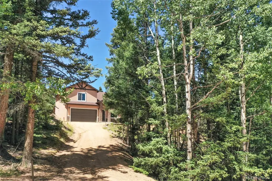 71 Mt Elbert Drive, Florissant, CO 80816 - #2