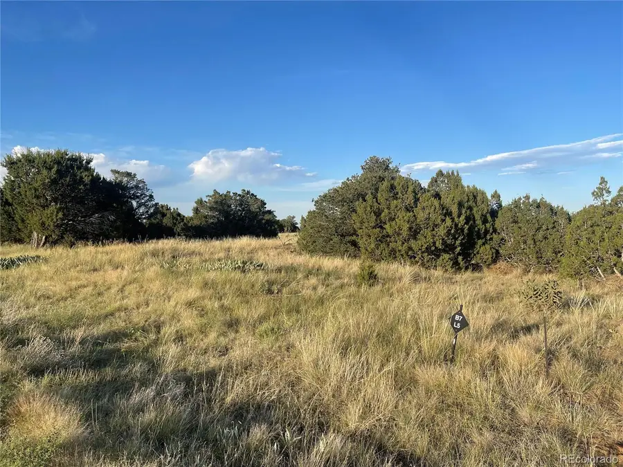 L5 B7 Rocky Mountain Drive, Walsenburg, CO 81089 - #2