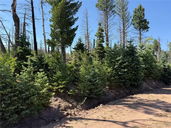 Lot 2498 Gilmartin Lane, Fort Garland, CO 81133