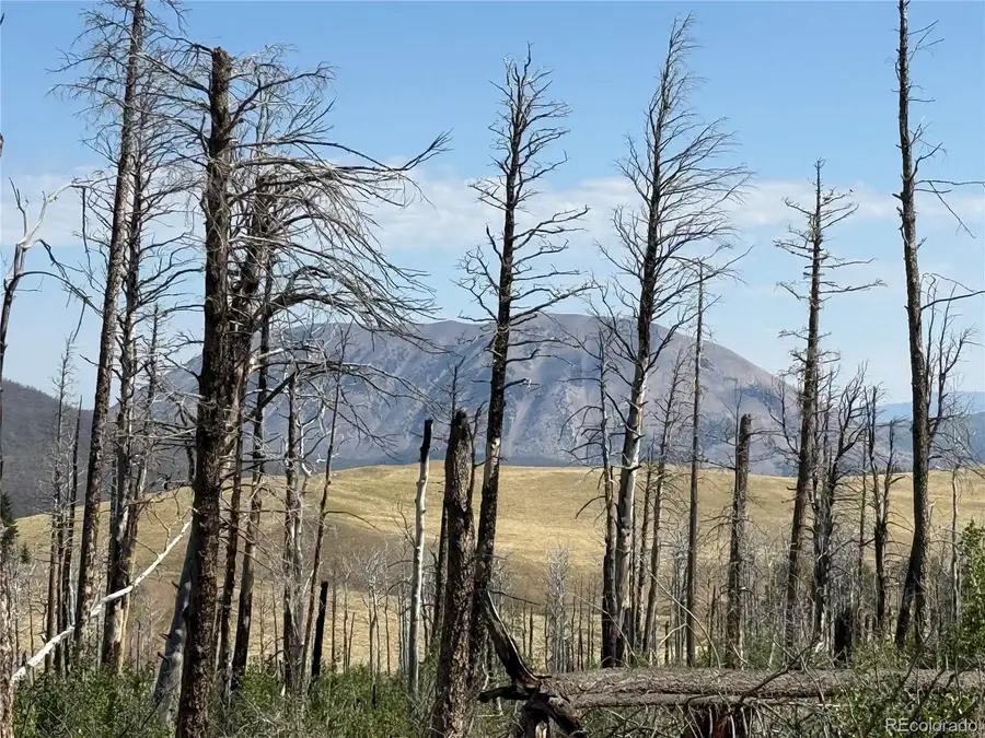 Lot 2498 Gilmartin Lane, Fort Garland, CO 81133 - #2