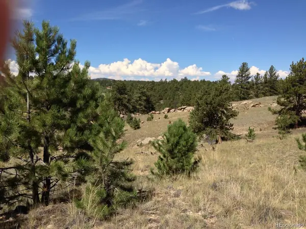 33 Jasper Way, Hartsel, CO 80449