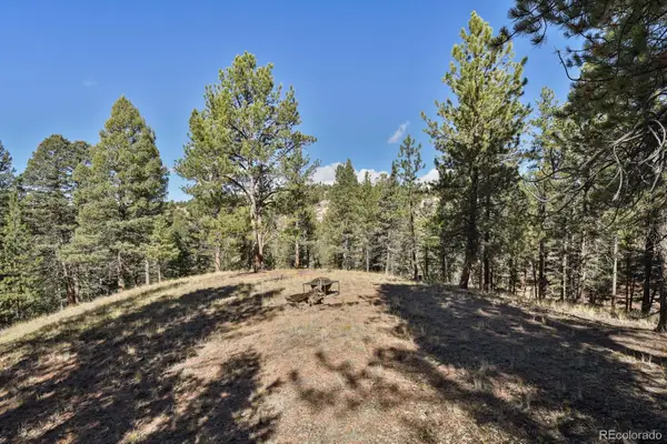 504 Bear Mountain Road, Florissant, CO 80816