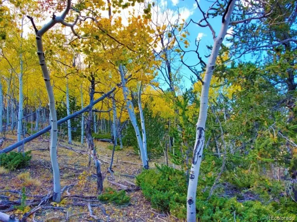 2000 Hard Hickory Trail, Guffey, CO 80820 - #1