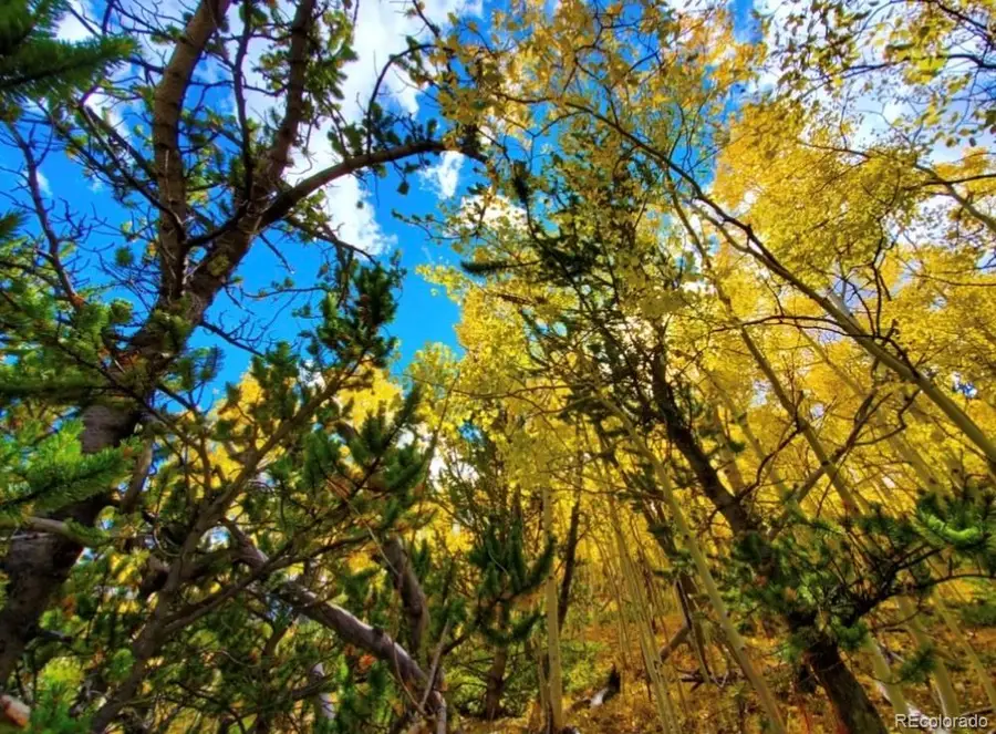 2000 Hard Hickory Trail, Guffey, CO 80820 - #2