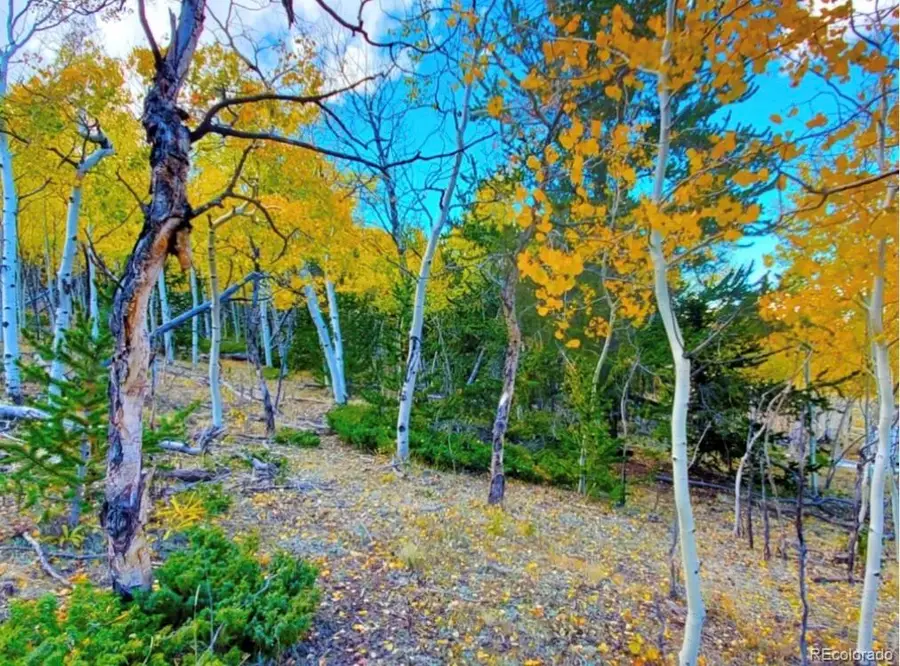2000 Hard Hickory Trail, Guffey, CO 80820 - #3